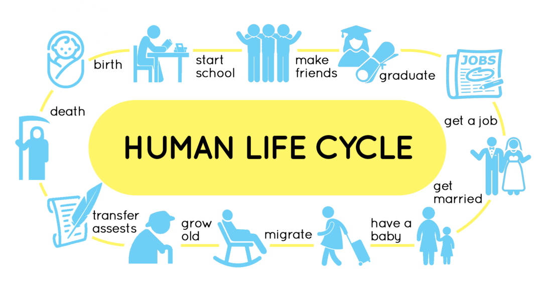 Life Cycle Training – Global Humane Organization